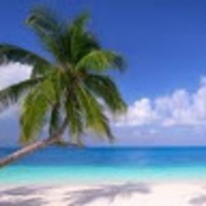 Meet your Posher, Terrence